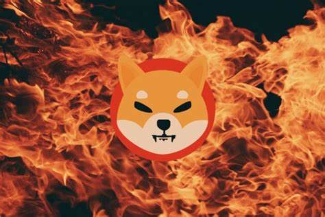 Shiba Inu Leader Says Burning 99.9% of Shiba Inu is Not Impossible - The Crypto Basic