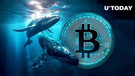 Bitcoin Whale Suffers $13 Million Loss In A Week - Inside Bitcoins