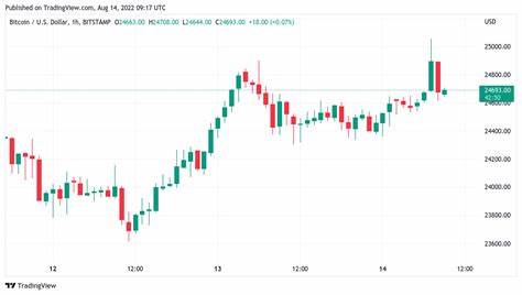Bitcoin hits $25K as bearish voices call BTC price 'double top' - Forbes India
