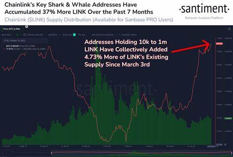 ChainLink Whale Activity! BDAG’s $3M Surge & XRP Forecast Insights - FinanceFeeds