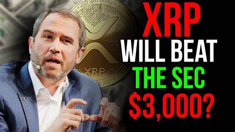 Ripple CEO Confronts SEC Commissioner: How Will XRP Price Respond? - Cryptonews