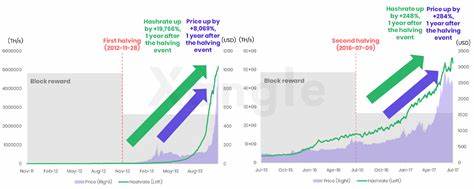 Bitcoin's Third Halving: Survey Shows 50% of Miners Expect a Price Increase - Bitcoin.com News