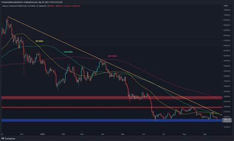 Bitcoin: Is THIS support enough to prevent another BTC crash? - AMBCrypto News