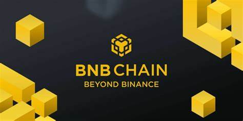  Binance&#039;s BNB Chain rebounds amid institutional, DeFi adoption 