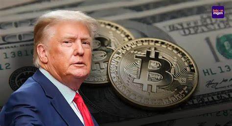 58 crypto wallets have made millions on Trump's meme coin. 764,000 have lost money, data shows