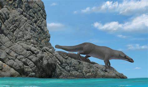Ancient Four-Legged Whale Remains Discovered in Peru