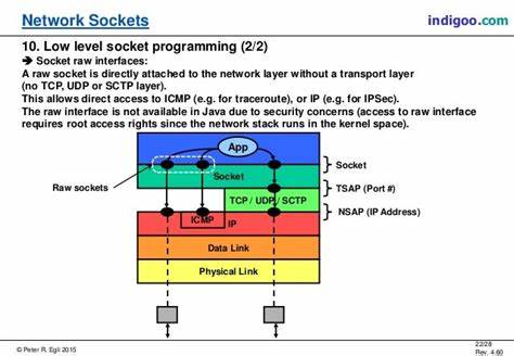 When SVG almost got network support for raw sockets