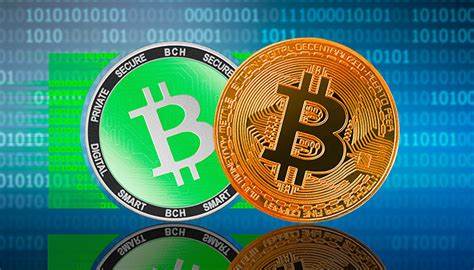 Über Bitcoin Cash