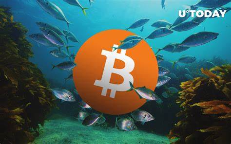 Crazy 231,778% Profit Triggers Epic Whale Awakening - U.Today
