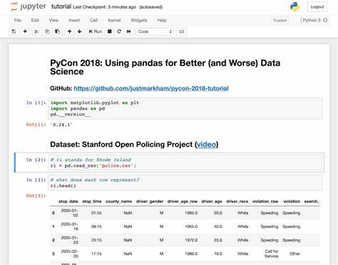 Themisto: Jupyter-Based Runtime Benchmark