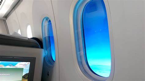 B787 electronic window dimming system failed on 14 hour flight
