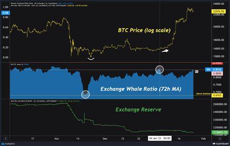 How a Bitcoin Whale Lost $13 Million in Just 6 Days - Cryptodnes.bg