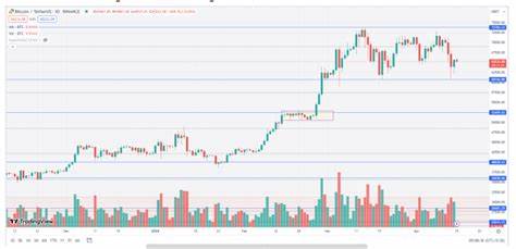 Crypto market rebounds as Bitcoin recovers from Iran-Israel tensions - The Economic Times