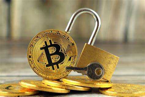 Bitcoin investor ordered to hand over crypto keys in landmark tax case - MSN