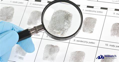 How reliable is fingerprint evidence? [video]