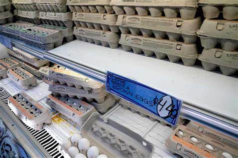 US egg producer defends record profits amid DOJ probe — how to manage high prices without poaching your budget