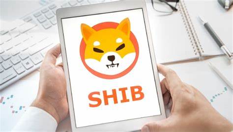 Investing in Shiba Inu | How to Buy SHIB? - eToro