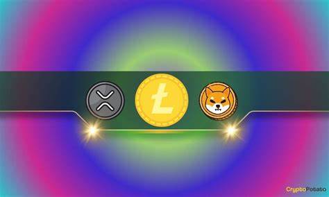 SHIB Decouples from Altcoins as Largest Holders Hoard 6.57T - DailyCoin