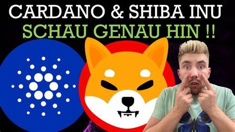 Krypto News: Neuer Shiba-Inu-Liebling Shiba Shootout erzielt 1,1 Mio. USD