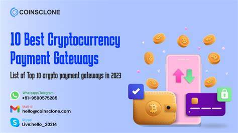 9 Best Bitcoin and Cryptocurrency Payment Gateways Of 2024 - CoinGape