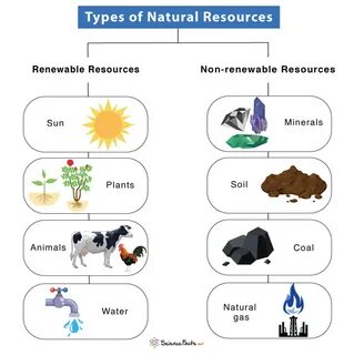 Here’s Why Core Natural Resources (CNR) Declined 27.6% in Q1