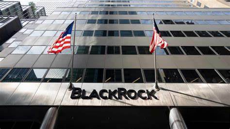 BlackRock zweifelt an tiefen Zinssenkungen der Fed