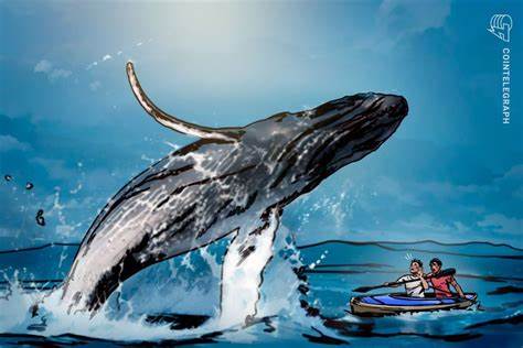 How do crypto whales protect their identities? - Cointelegraph