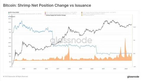 Bitcoin shrimps outpace monthly issuance, accumulating 25,000 BTC in 30 days - CryptoSlate