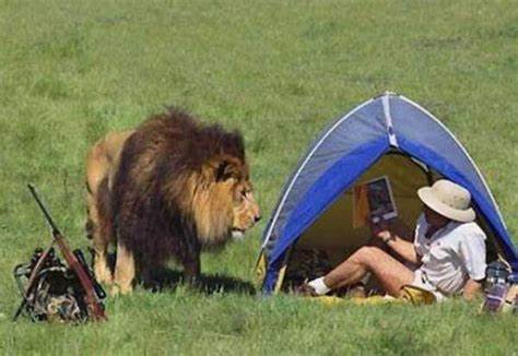 We're sleeping on the most dangerous situation in the world