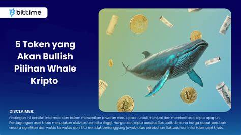 Crypto Whales’ Bullish Bets: 5 Altcoins They’re Stocking Up for the Next Upcoming Market Cycle - CryptoDaily