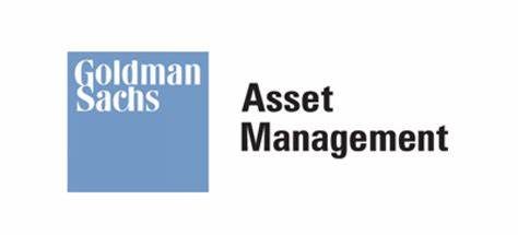 Goldman Sachs Asset Management acquires a controlling stake in Dutch Synthon for $2.1 billion