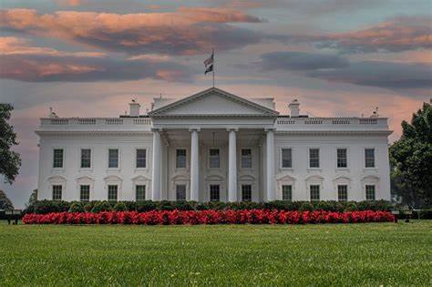 Whitehouse.gov now scrolls a banner link to "LoFi MAGA Video to Relax/Study To