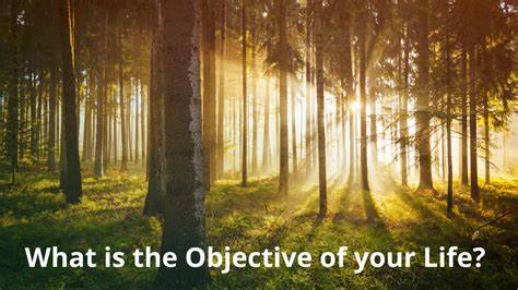 Ask HN: What is the objective of your life?