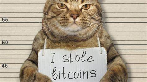 After Ledger Hack, Who Can You Trust For Bitcoin Storage? - Forbes