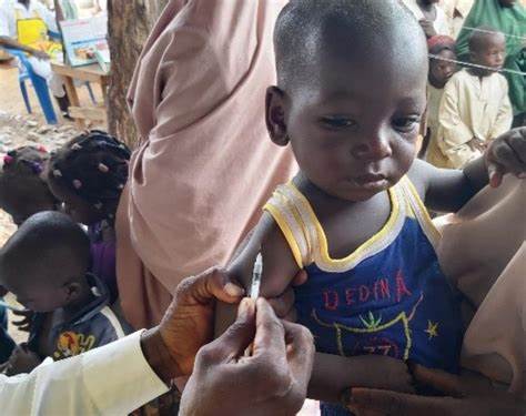 Guinea, South Sudan seek Nigeria’s expertise on childhood vaccine rollout - Businessday