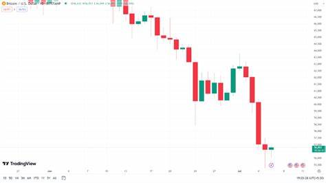 2024 US Voters Bet Big on Bitcoin: What’s Fueling the Crypto Fever? - Coinpedia Fintech News