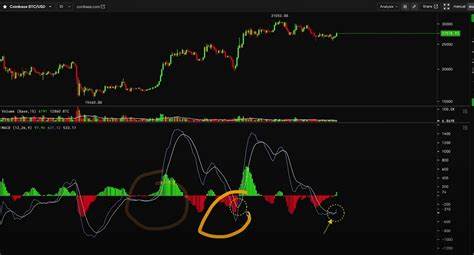 Bitcoin (BTC) Weekly Candle Flashes Bullish: Will It Spark a Rally? - CoinChapter