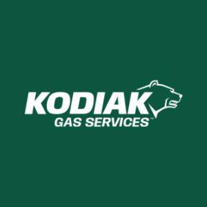 Kodiak Gas Services, Inc. (KGS): Among Stocks with Insanely High PE Ratios Insiders Are Selling