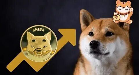 Top Crypto Below $0.10 That Will Get You a Bigger ROI Than Both Shiba Inu And Dogecoin By 2025 - The Cryptonomist