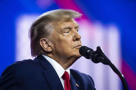 Elon Musk Reacts After Trump Campaign Releases Over 50 Examples of Democrats' Rhetoric That 'Inspired Assassination Attempt'
