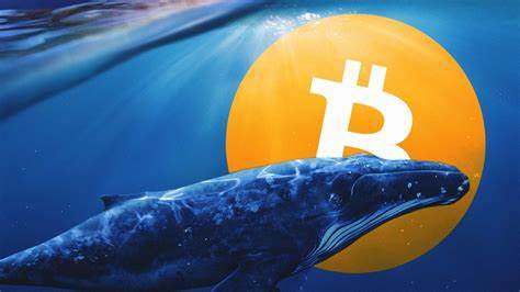 Here’s How Whales Cause Huge Bitcoin Price Swings - BeInCrypto
