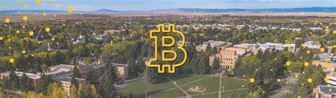 UW Bitcoin Research Institute