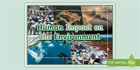 Researchers are studying how to minimize human impact on public lands