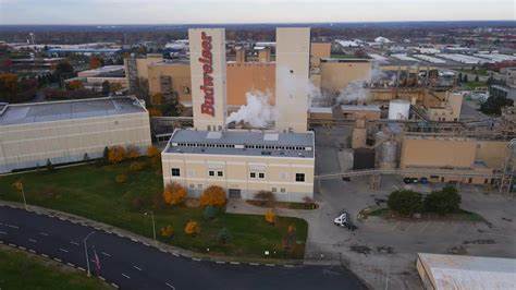 Anheuser-Busch invests $300M in US manufacturing amid beer optimism