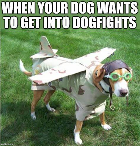 I Get into Dogfights on Social Media