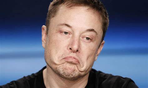 StarLink (STARL) Surges Over 100% Amid SpaceX Rocket Launch: The Elon Musk Effect - CryptoPotato
