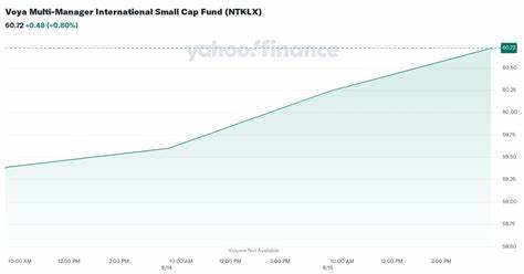 Voya Multi-Manager International Small Cap Fund Q2 2024 Commentary