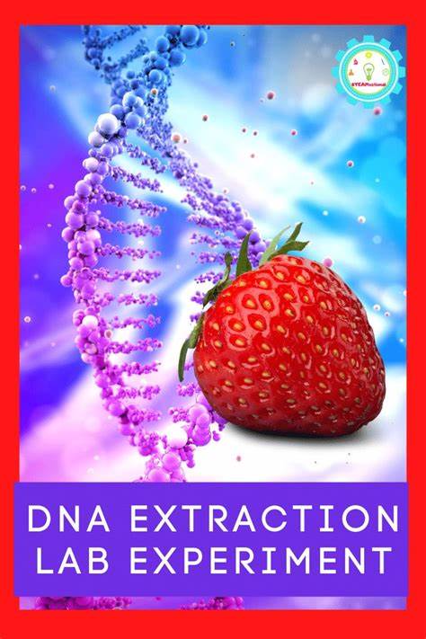 Has Anyone Ever Tried Extracting DNA from a Strawberry?
