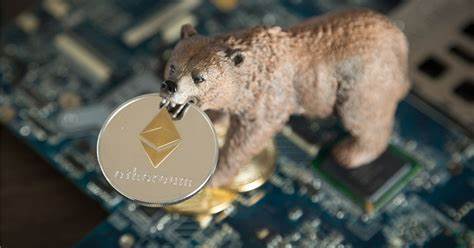 This Meme Marketplace Uses Dummy Tokens to Draw Users in a Bear Market - CoinDesk