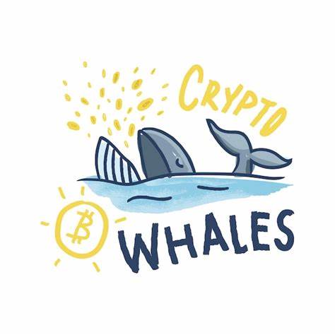 Crypto Whales Buy Bitcoin During The Dip And This New Meme Coin